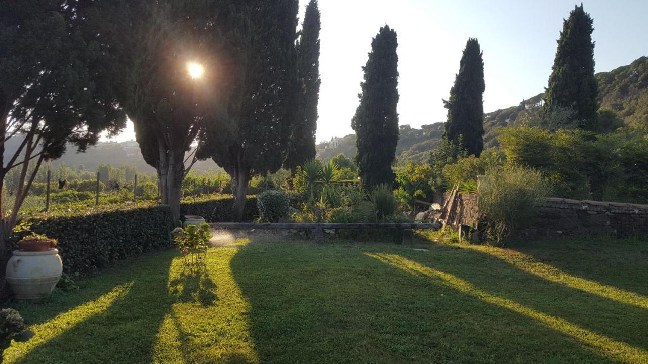 Il Nido Del Falco Castel Gandolfo Zewnętrze zdjęcie